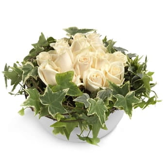 temparr10_59s_a-min Blumengeste4ck - Frieden online senden