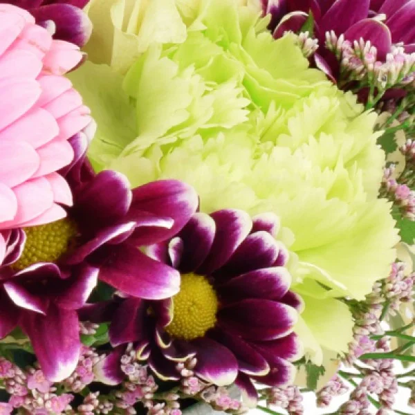 hellgrune-nelke-gerbera-blumenversand Nahaufname einer hellgrünen Nelken im Blumenstrauß eingebunden