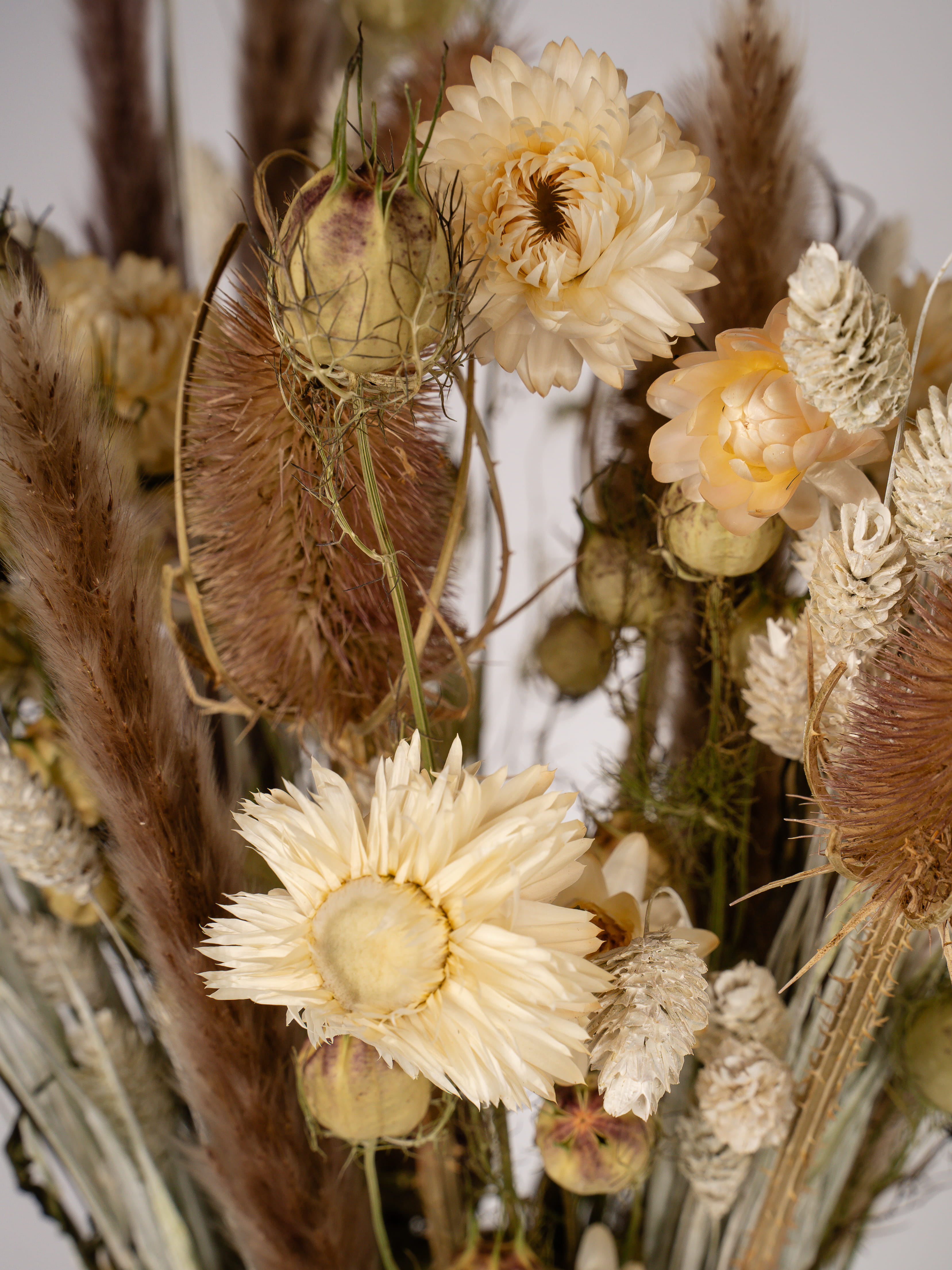Trockenblumenstrauß Boho - Nahaufnahme Detailaufnahme Boho Trockenblumen