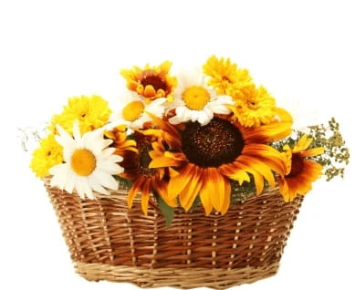 Blumenkorb Sonnenschein