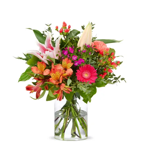 Tropenzauber „Ida“ – Exotik trifft Eleganz Tropenzauber „Ida“ – Exotik trifft Eleganz