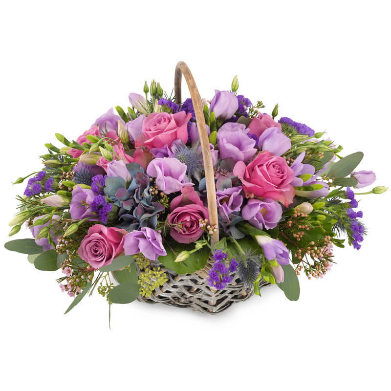 temparr14_58l Pink und violette Farbtöne