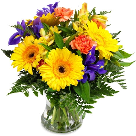 tempbou10_76m_a-min Blumenlieferung in Europa