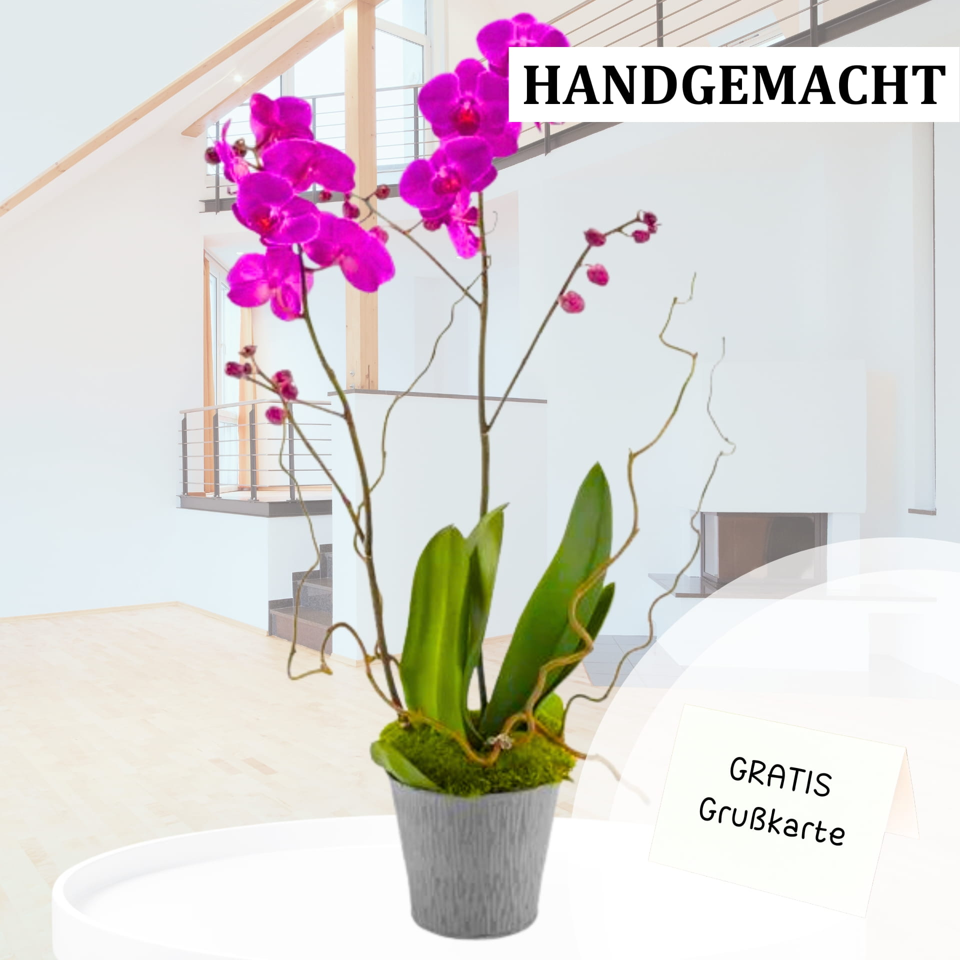 Orchid in pink Orchid in pink