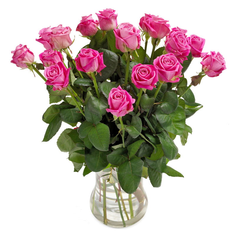 tempbou10_121m Pinker Strauß aus Rosen