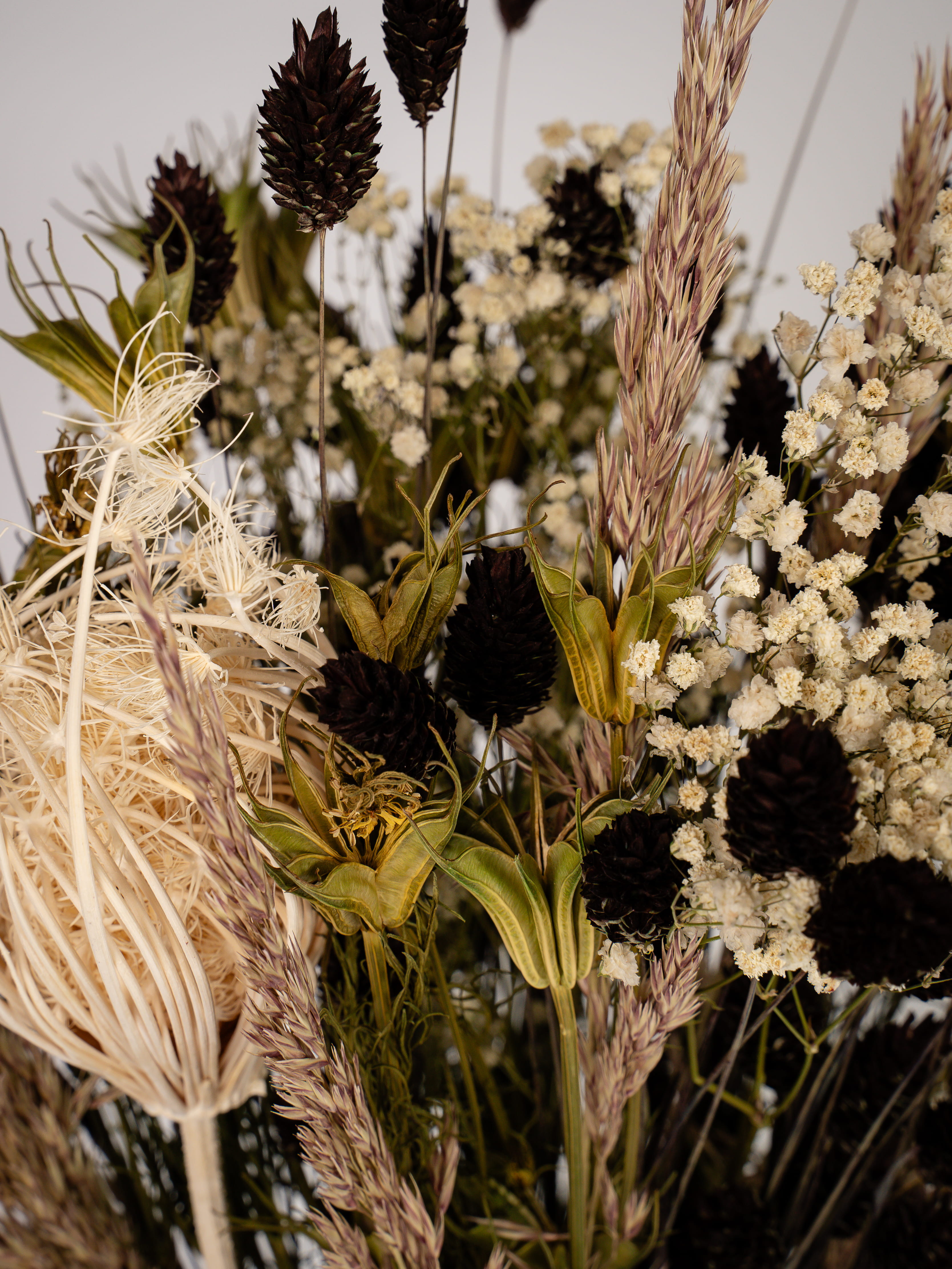 Trockenblumen: Eternal Elegance Trockenblumen: Eternal Elegance