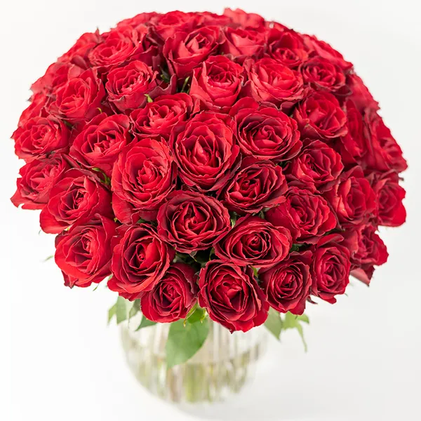 50 rote Rosen bestellen - FlowersDeluxe Blumenstrauß aus 50 roten Rosen. Rund gebunden