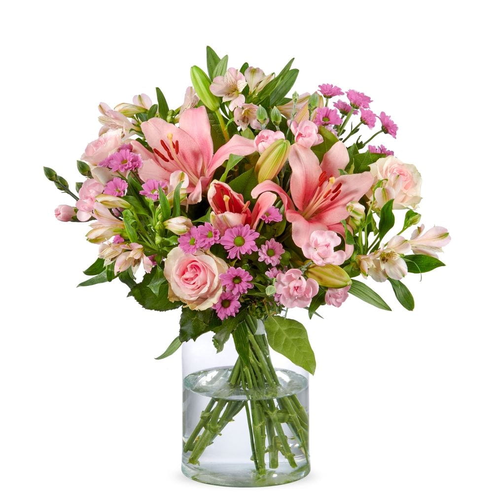 Lily poetry - Delicate blossoms in pink Lily poetry - Delicate blossoms in pink