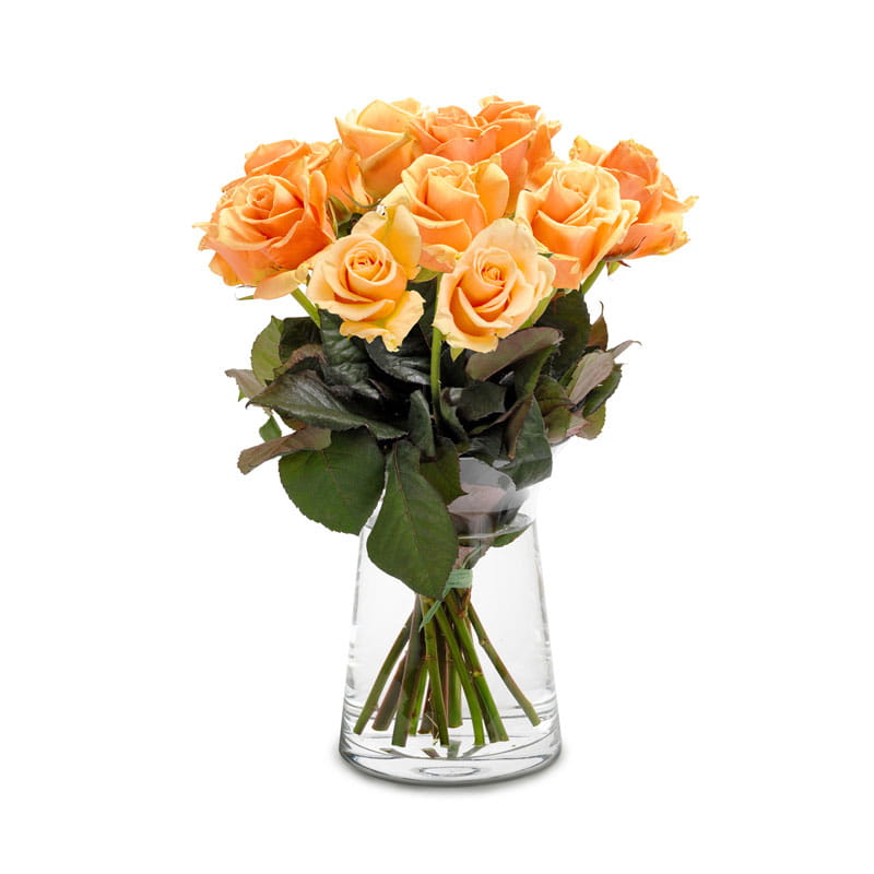 tempbou10_117s Strauß aus 7 Rosen in apricot