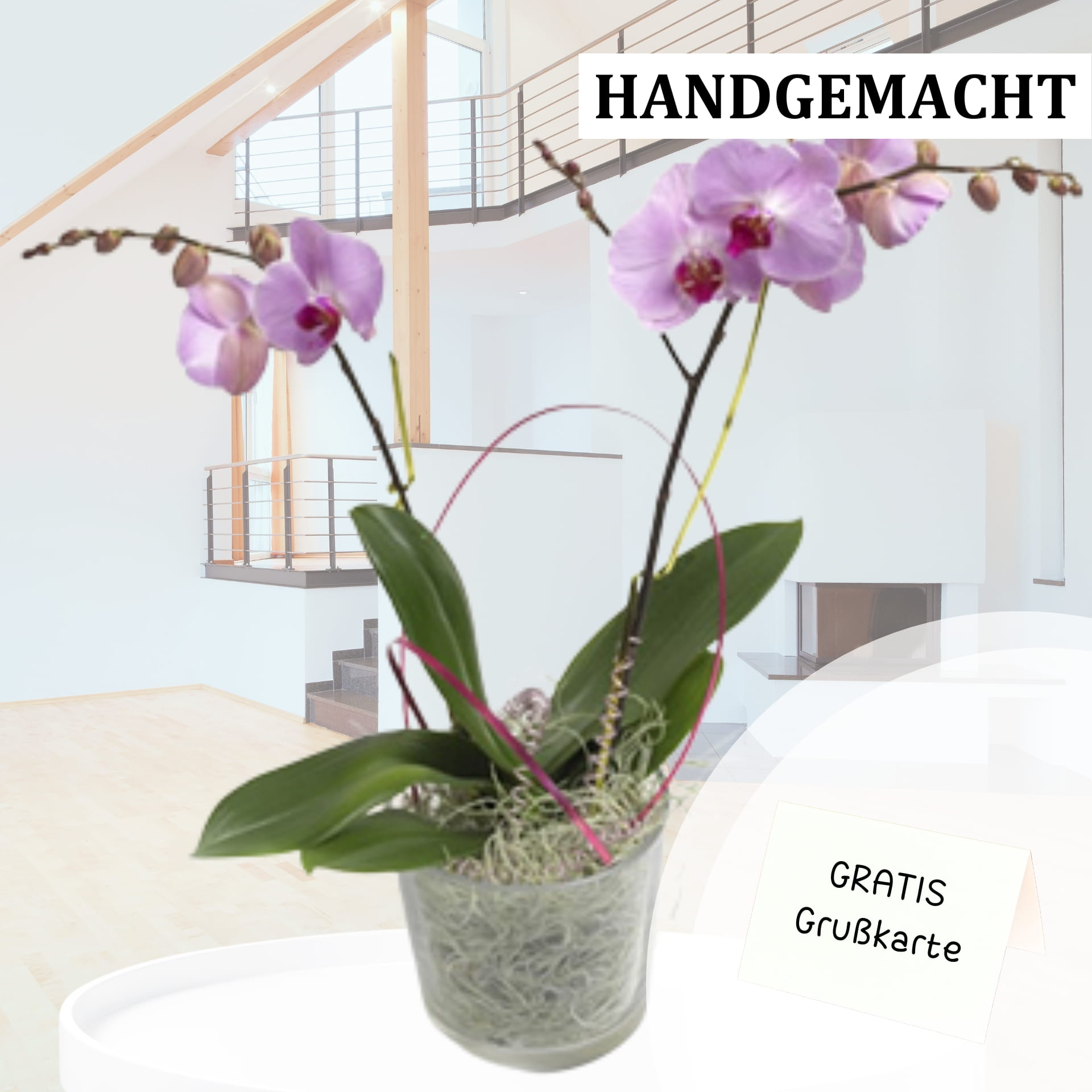 violet beauty violet beauty