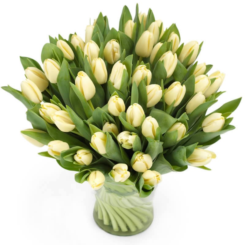 tempbou12_19l-min Deluxe Tulpenstrauß versenden