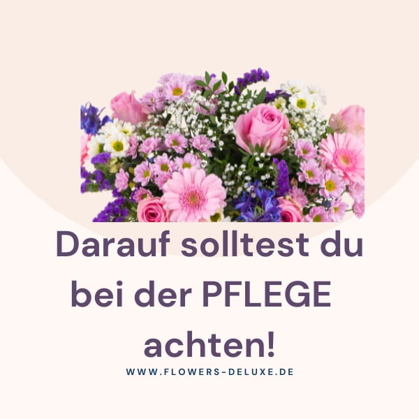 Blumenpflege-Ratgeber2BZhTxjN6Iqjj