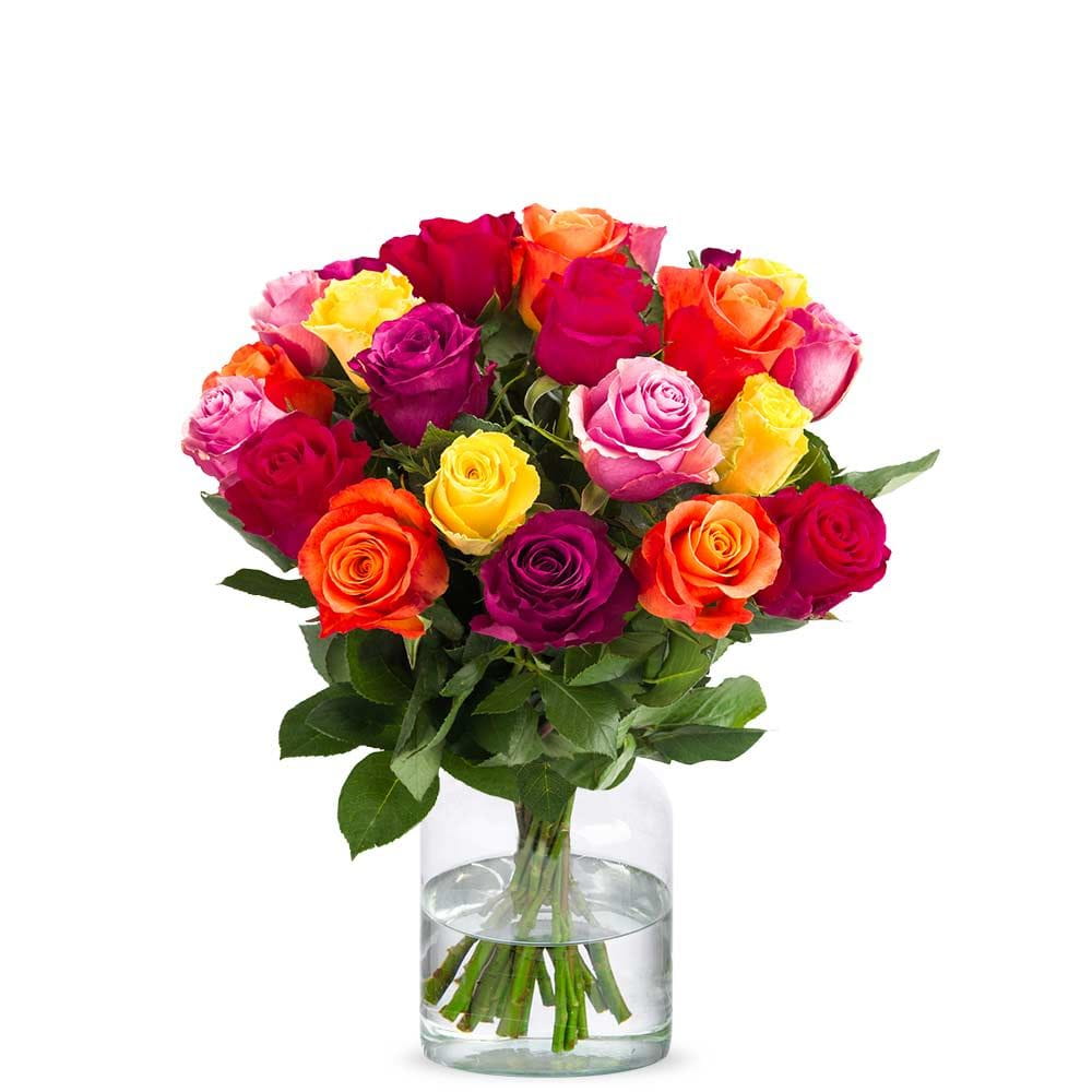 Mixed roses (40cm) (Small)