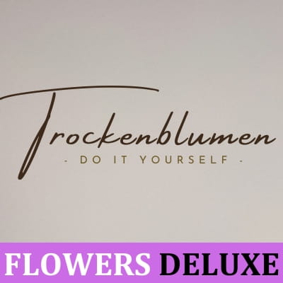 Trockenblumen-DIY-Selbermachen