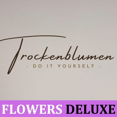 Trockenblumen-DIY-Selbermachen Trockenblumen-DIY-Selbermachen