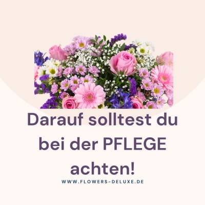 Blumenpflege Ratgeber Blumenpflege Ratgeber