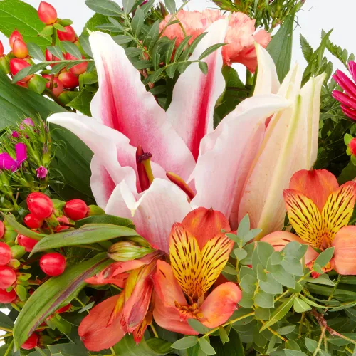 Magie des tropiques "Ida" - l'exotisme rencontre l'élégance Magie des tropiques "Ida" - l'exotisme rencontre l'élégance