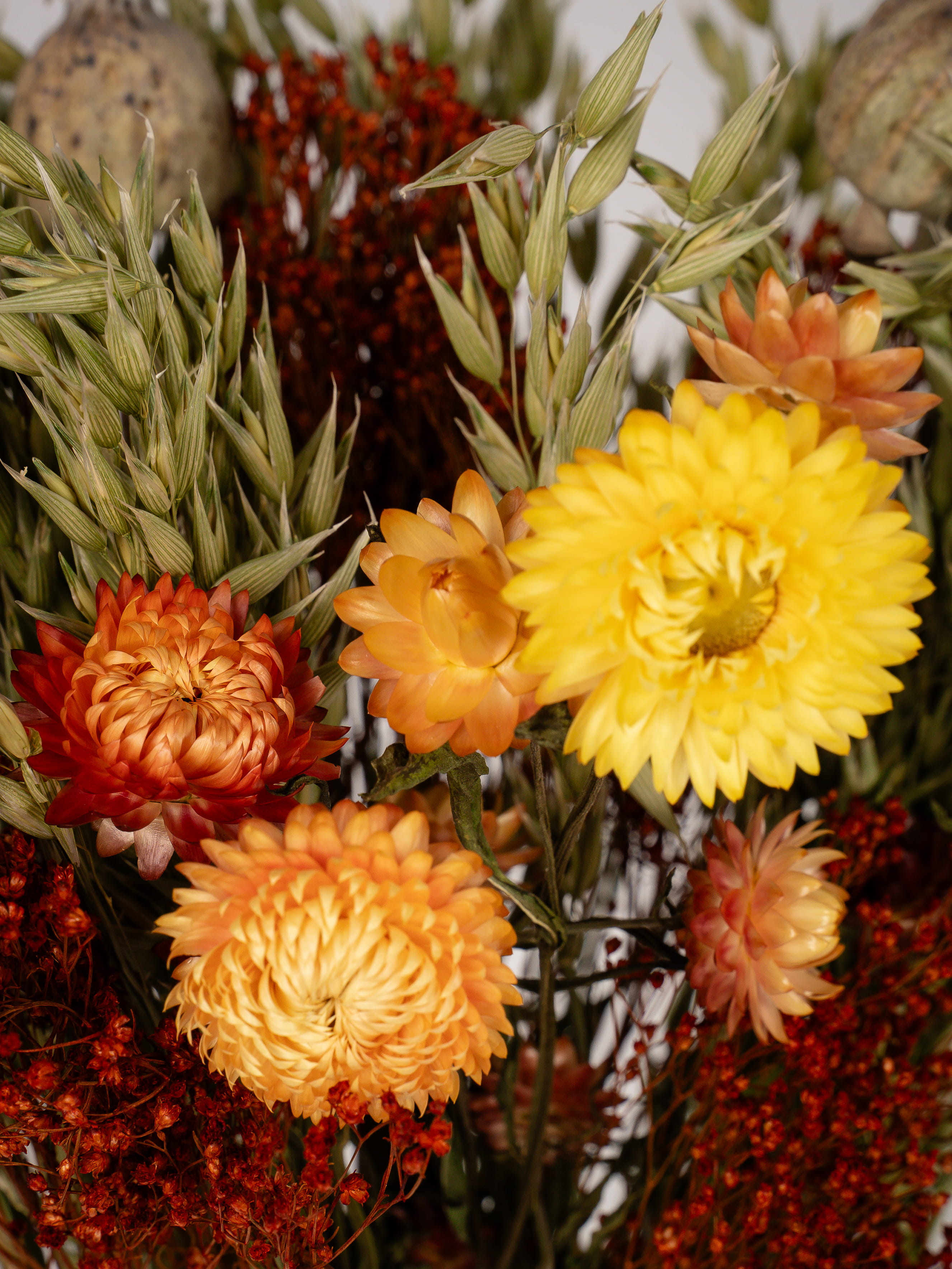 Blumenstrauß Trockenblumen Sahara Glow