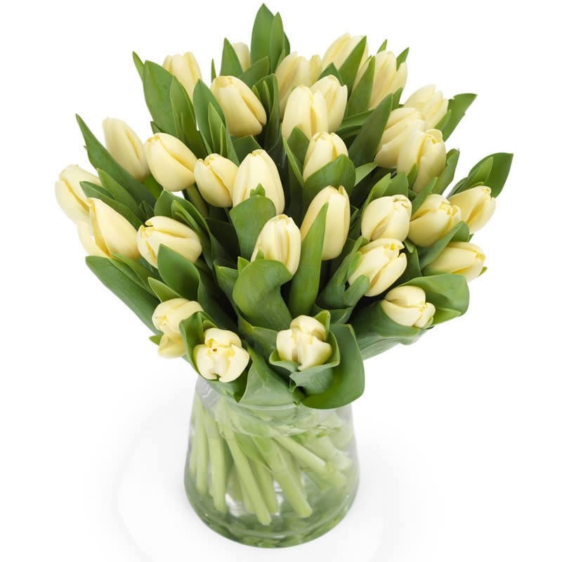 tempbou12_19m-min großer Tulpenstrauß in cremefarben