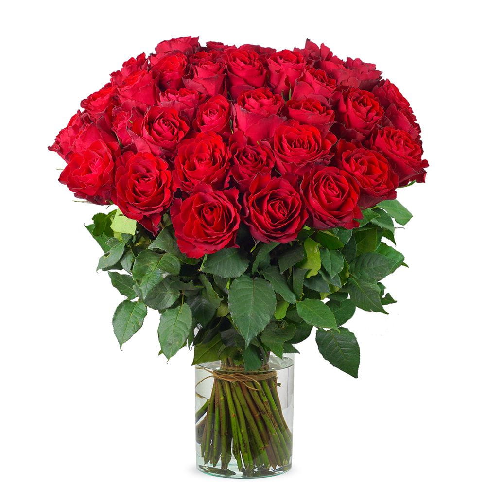 50 red roses (Medium)