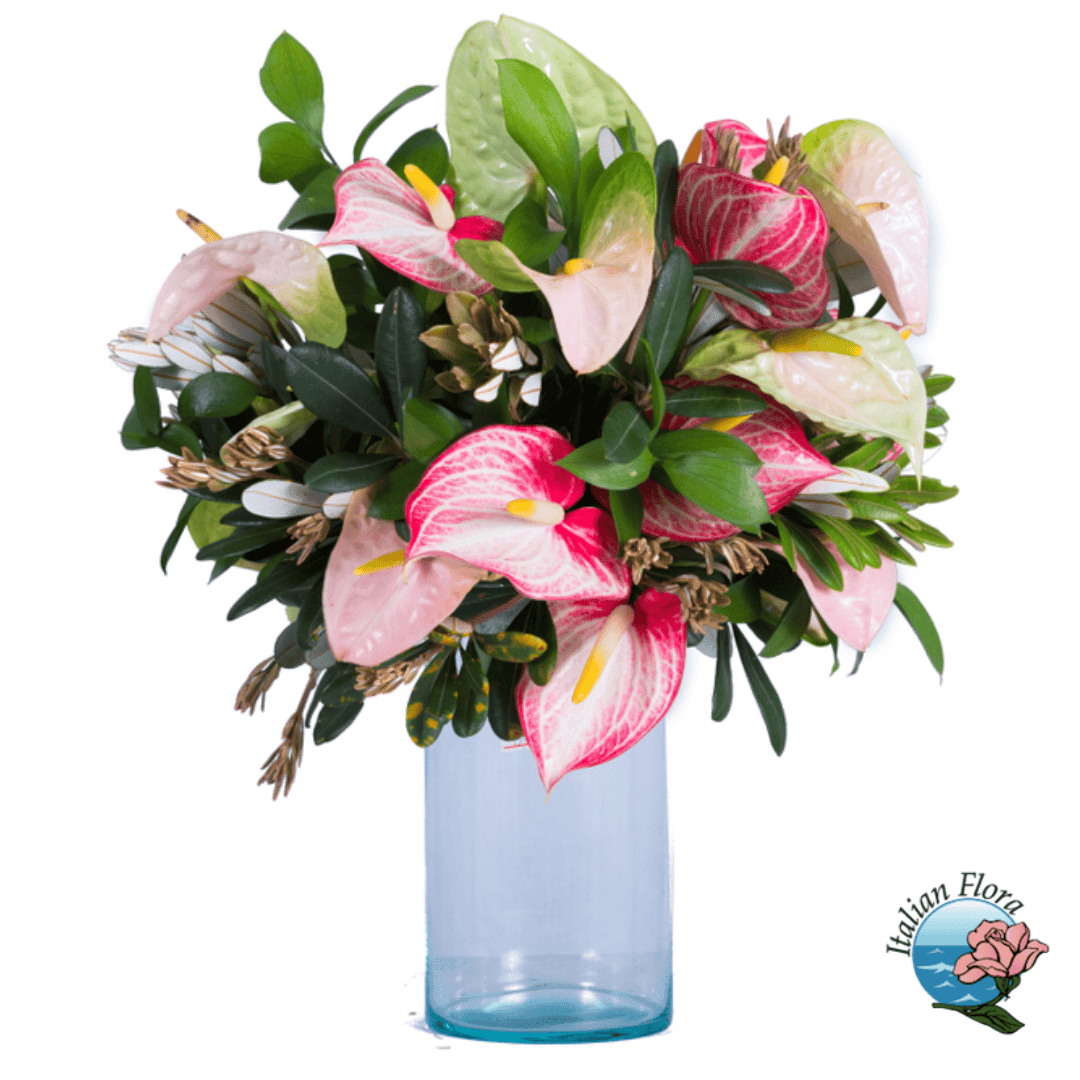 Strauß aus rosa Anthurium-Blüten