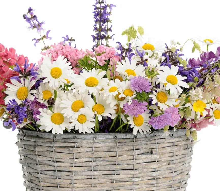 Blumenkorb mit Frühlingsblumen Blumenkorb mit Frühlingsblumen