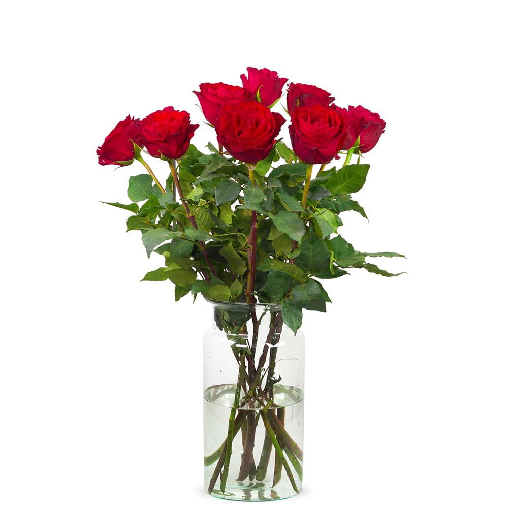 10 red roses (Medium)