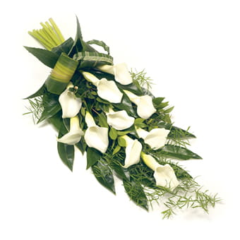 Ein eleganter Trauerstrauß, bestehend aus mehreren weißen Calla-Lilien und verschiedenen grünen Blättern und feinem Grün, arrangiert als liegendes Bouquet auf einem weißen Hintergrund.