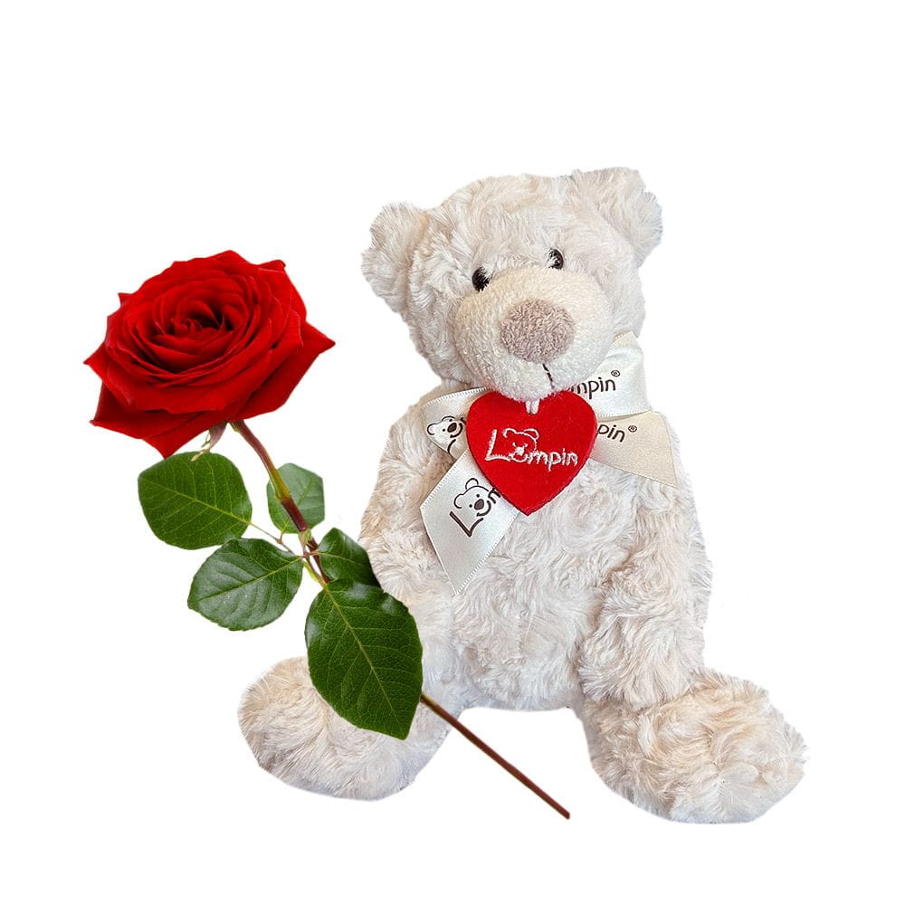 A red rose with a teddy bear A red rose with a teddy bear