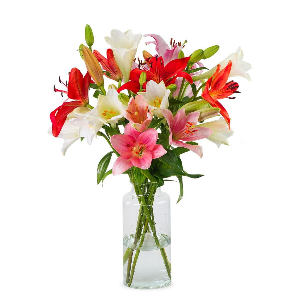 Lilies - Fancy mix (Small)