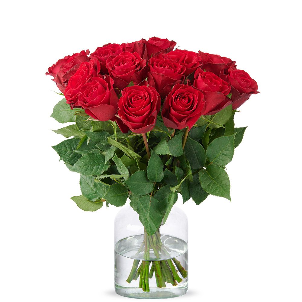 Red Roses (40 cm) (Small)