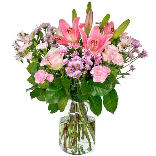 Lilienpoesie – Zarte Blüten in Rosa