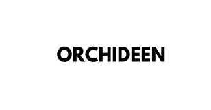 ORCHIDEEN orchideen