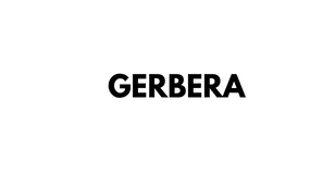 gerbera-1