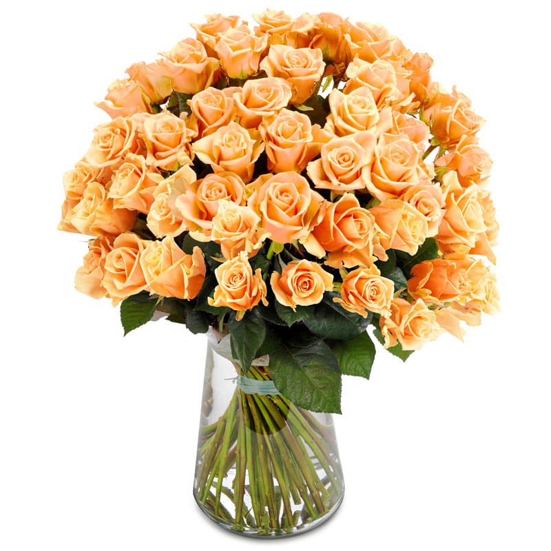 tempbou10_117l 15 Rosen in Apricot online senden