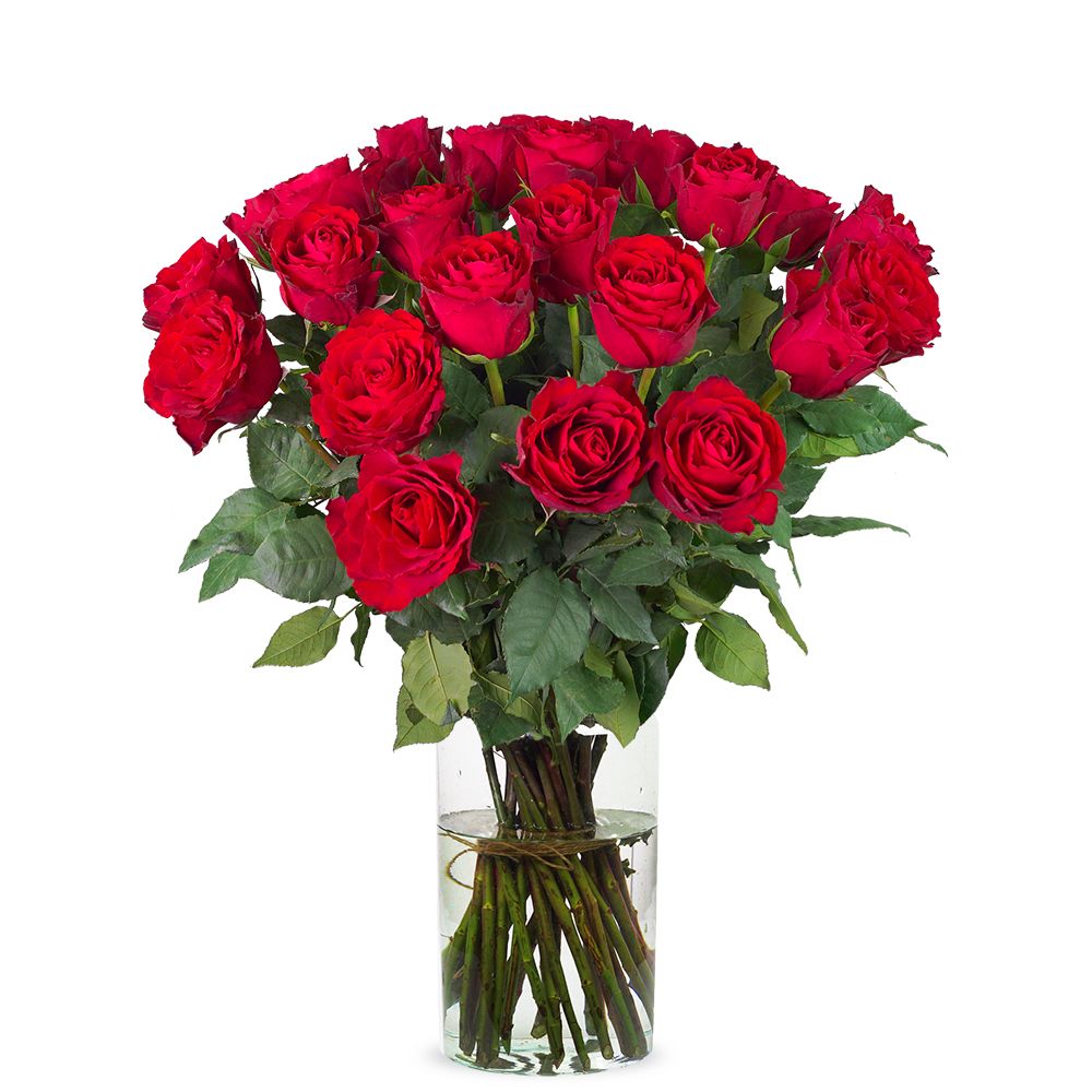 30 red roses (Medium)