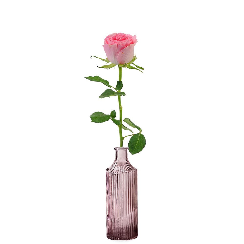 Pink rose gift | Incl Vase (Medium)