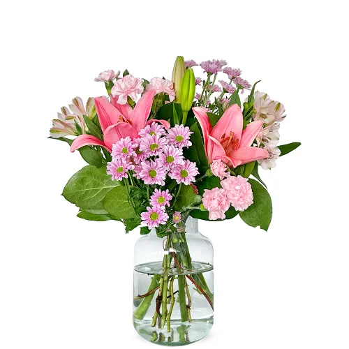 Lilienpoesie – Zarte Blüten in Rosa