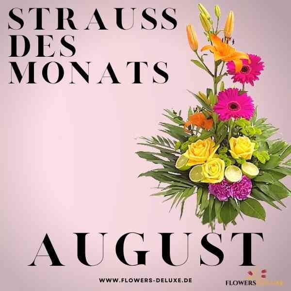 Strauss-des-Monats-August