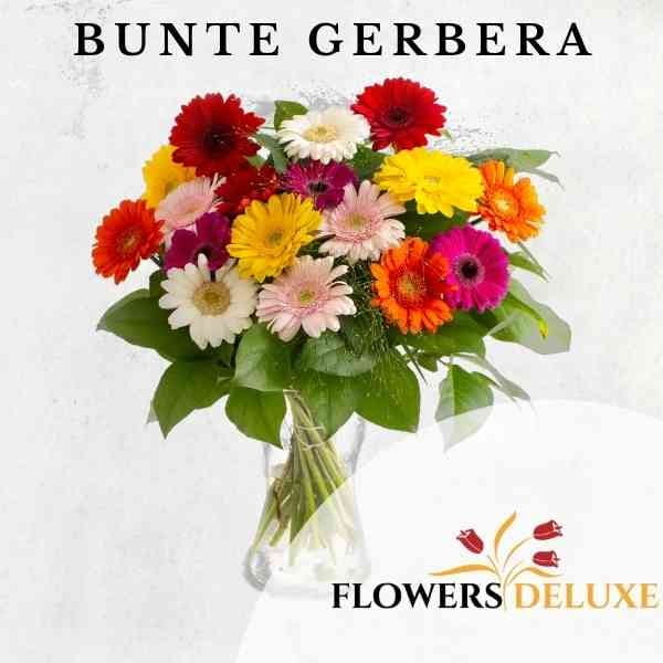 Bouquet Colorful Gerbera